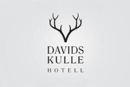 Davids kulle logo