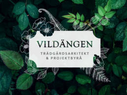 Vildängen illustrative logotyp on leafy background