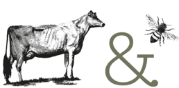 Logo Milk and honey media