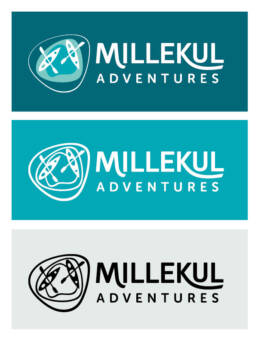 Logo variations Millekul