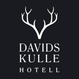 DavidsKulle logo